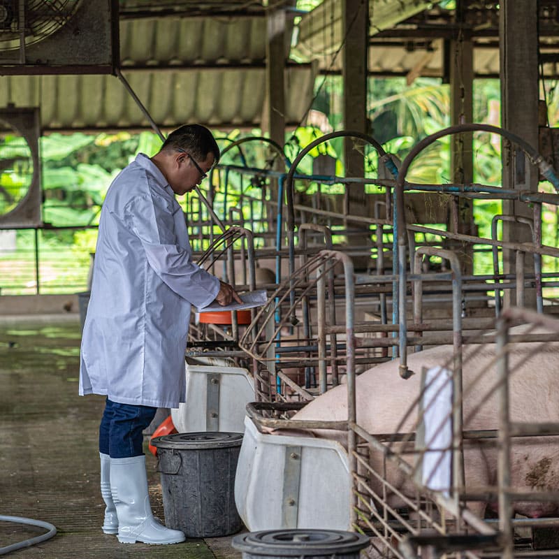 bioxido de carbono Criogas